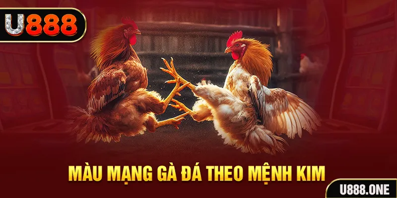 gà chọi tiêu phong