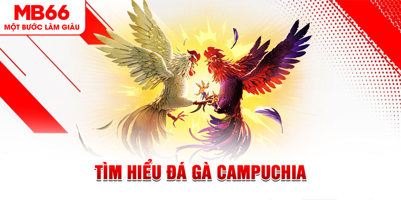 sun52 tại sao không tải được nổ hũ