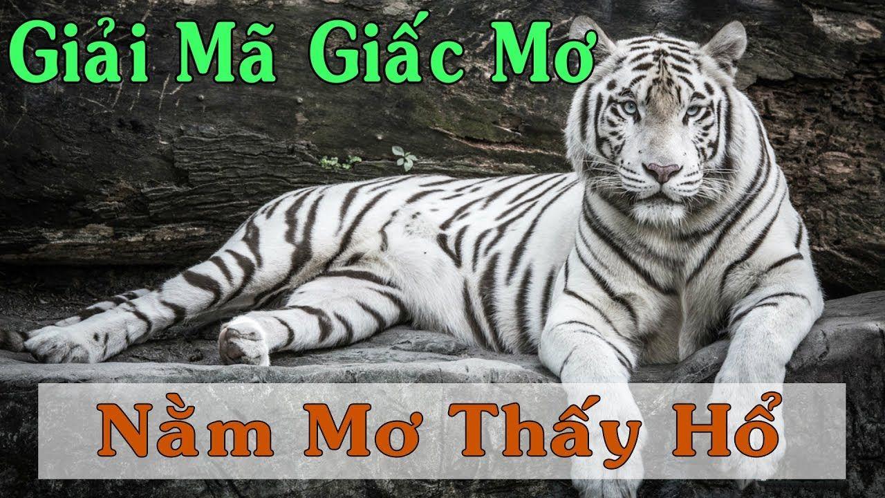 sun52 xổ số miền trung