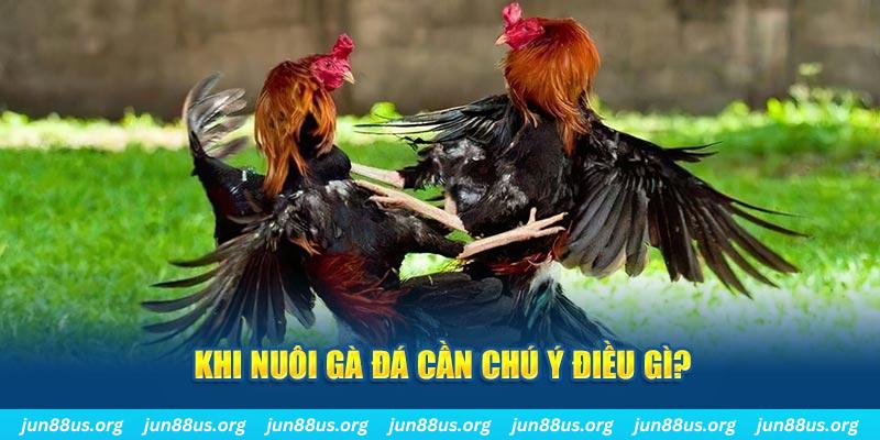 sun52 ban ca vip online