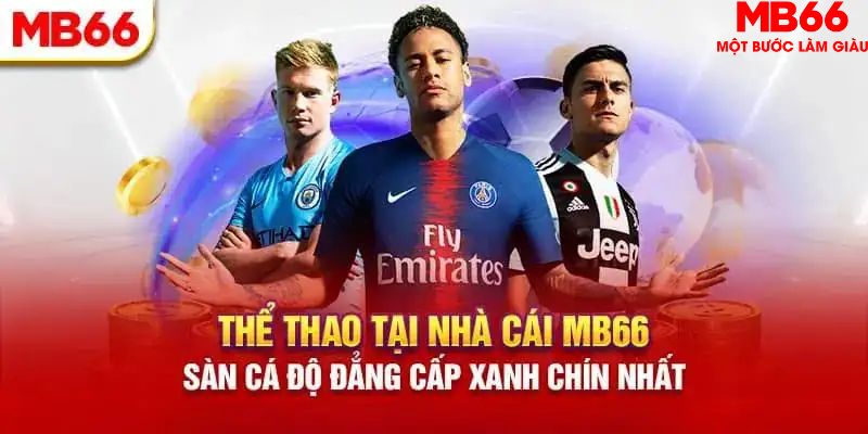 sun52 HB Điện Tử