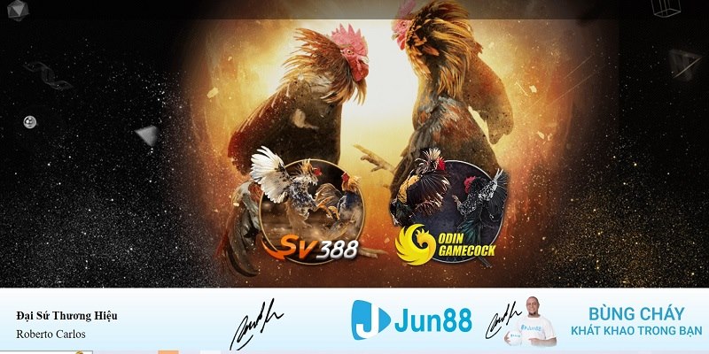 sun52 xổ số miền nam hàng tuần