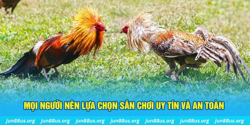 sun52 hơn cả bạn bè