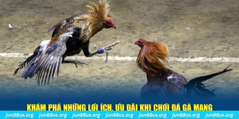 sun52 Tài Xỉu 2
