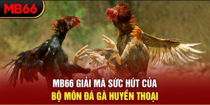sun52 long bảo trong baccarat là gì