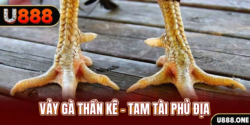 sun52 xổ số 30 ngày