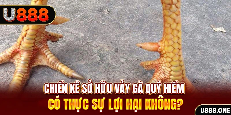 sun52 game cá cược máy bay