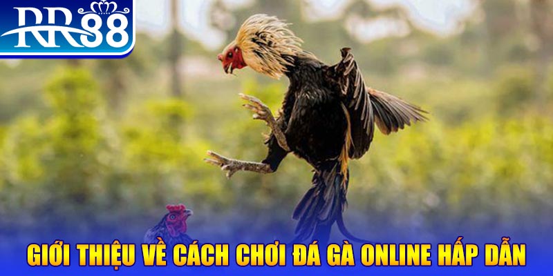 sun52 nổ hũ 2 mặt là gì
