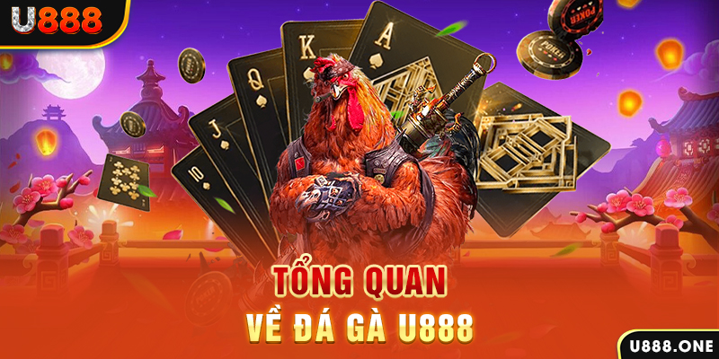 sun52 what is casino bonus wagering